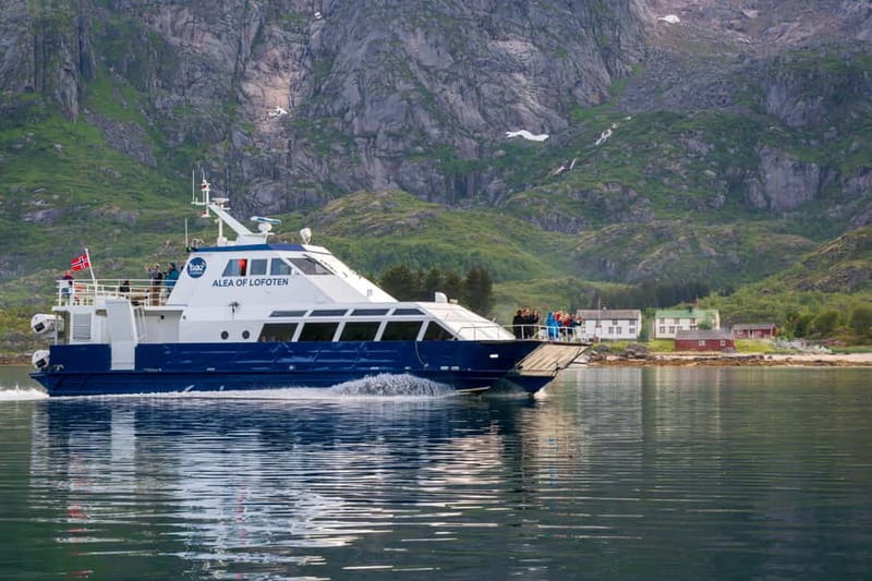 From Svolvær: Lofoten Trollfjord Cruise & Sea Eagle Safari - Should you book the Trollfjord and sea eagle safari?
