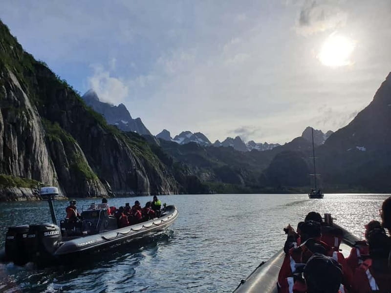 From Svolvær: RIB Boat Lofoten Trollfjord Sea Eagle Safari - Key points to know before booking