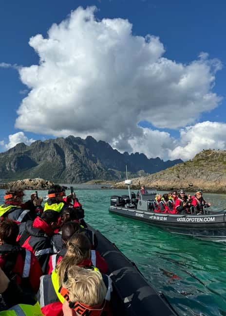 From Svolvær: RIB Boat Lofoten Trollfjord Sea Eagle Safari - The guide and the small-boat advantage