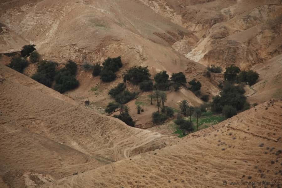 From Tel Aviv: Dead Sea Visit & Desert Safari - Key points to know before you book