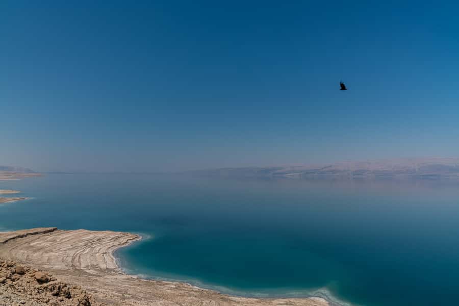 From Tel Aviv: Dead Sea Visit & Desert Safari - The Dead Sea finish: floating and black mud