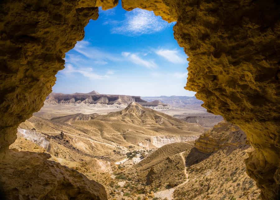 From Tel Aviv: Dead Sea Visit & Desert Safari - What the $160 price covers