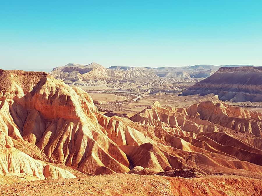 From Tel Aviv: Dead Sea Visit & Desert Safari - Practical packing advice