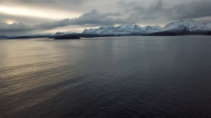 From Tromsø: All-Inclusive Whale & Orca Safari - A closer look at the boat and group experience