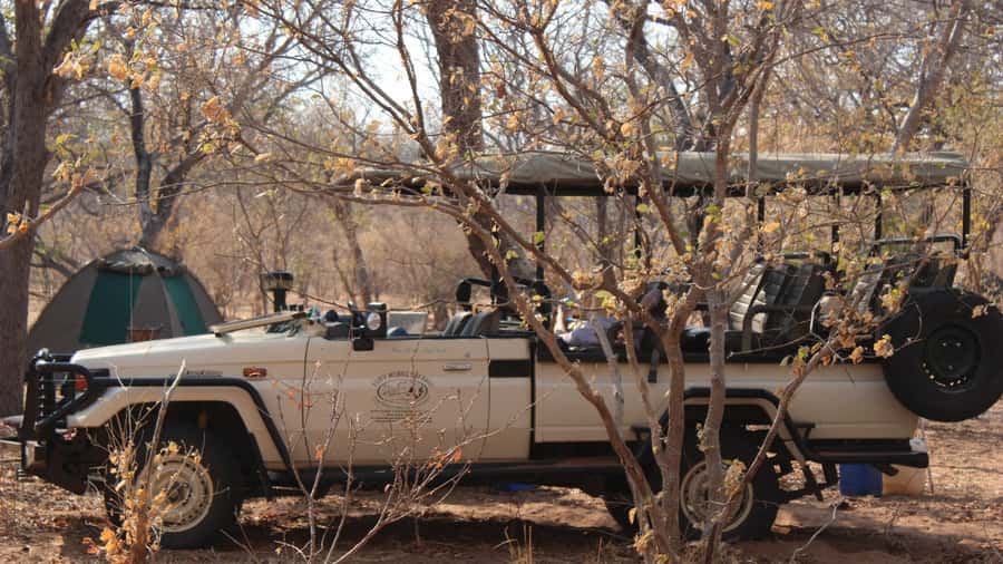 From Victoria Falls: Sunrise to Sunset Chobe Safari - Key points at a glance