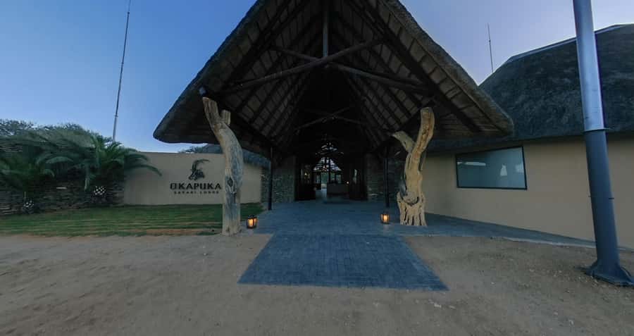 From Windhoek: Okapuka Safari Lodge Day Trip - A safari near Windhoek, not a long expedition