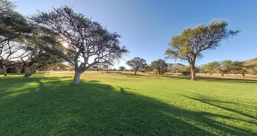 From Windhoek: Okapuka Safari Lodge Day Trip - What the five-hour schedule really means