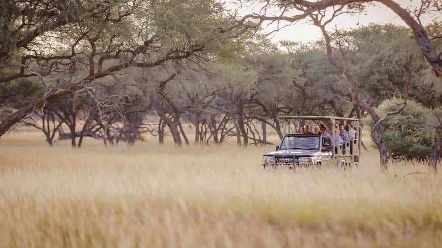From Windhoek: Okapuka Safari Lodge Day Trip - Practical details that affect your afternoon