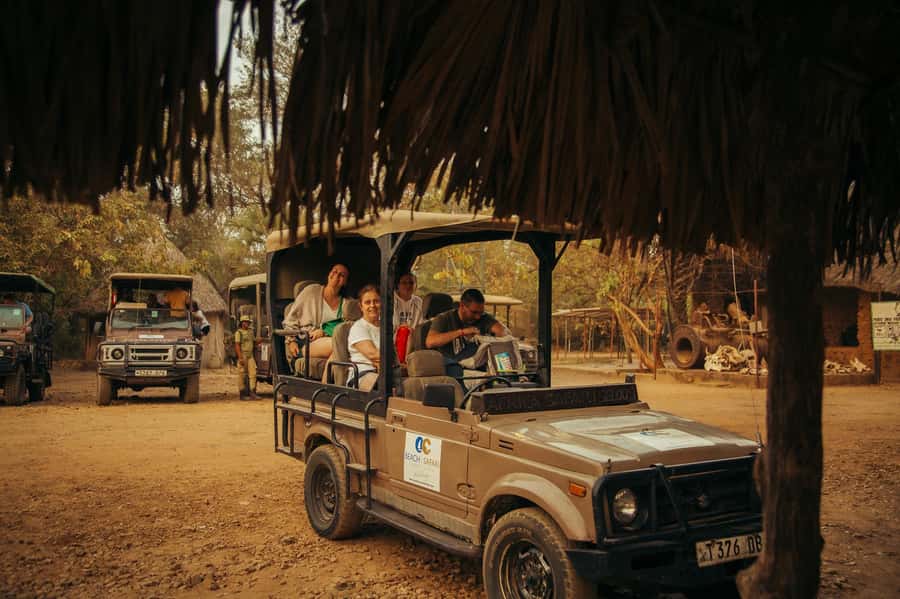 From Zanzibar: Day Selous Game Reserve Safari with Flights - What You May See on the Game Drive
