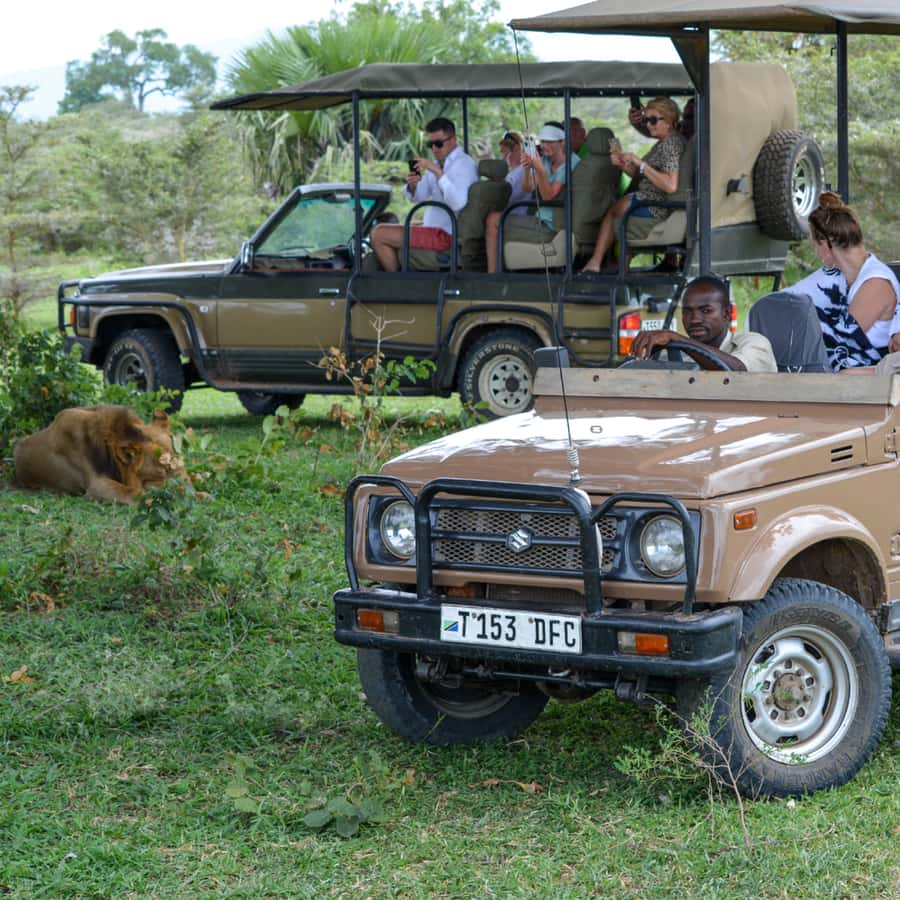 From Zanzibar: Day Selous Game Reserve Safari with Flights - Coffee, Tea, and the Bush Lunch