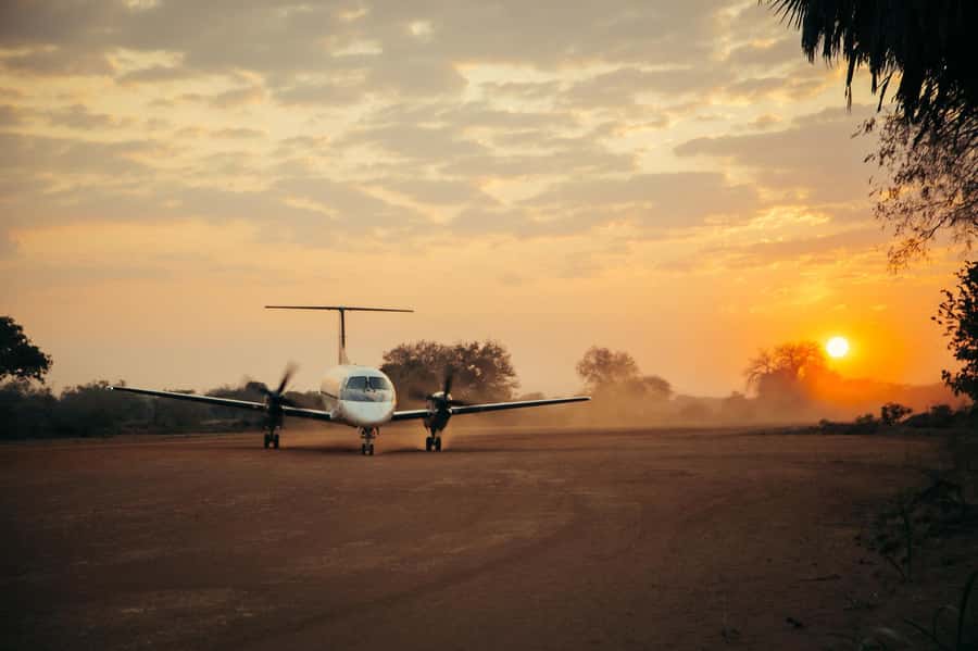 From Zanzibar: Day Selous Game Reserve Safari with Flights - The Optional Two-Day Safari