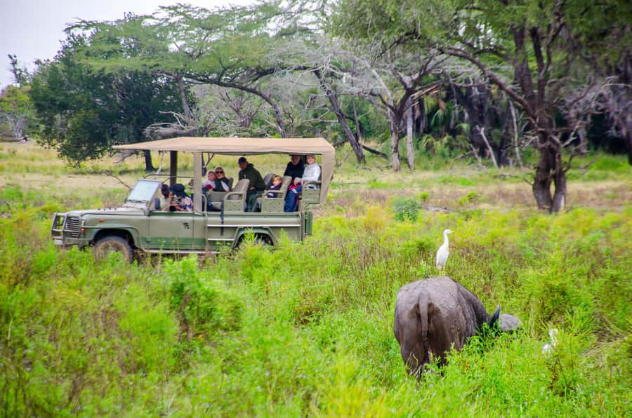 From Zanzibar: Mikumi National Park Guided Safari - Bush lunch at about 12:30