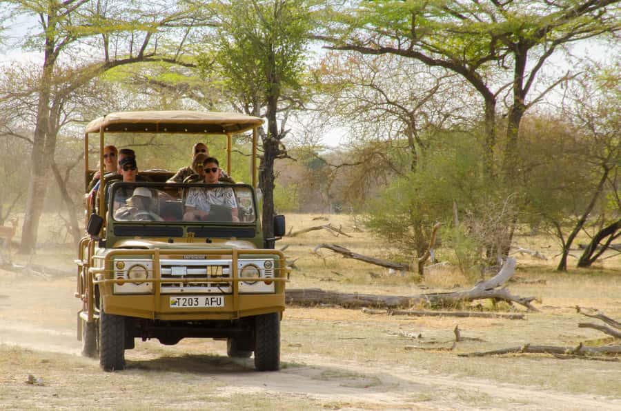 From Zanzibar: Mikumi National Park Guided Safari - Is $550 a fair price?