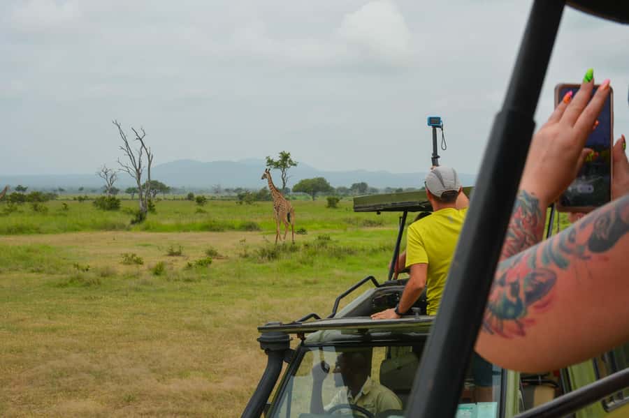 From Zanzibar: Mikumi National Park Guided Safari - Who will get the most from this safari?