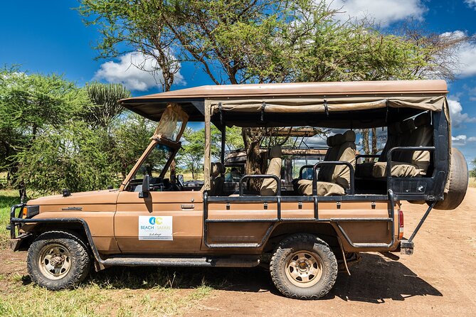 From Zanzibar: Mikumi Safari Day Trip with Flights and Meal - The afternoon game drive and flight home