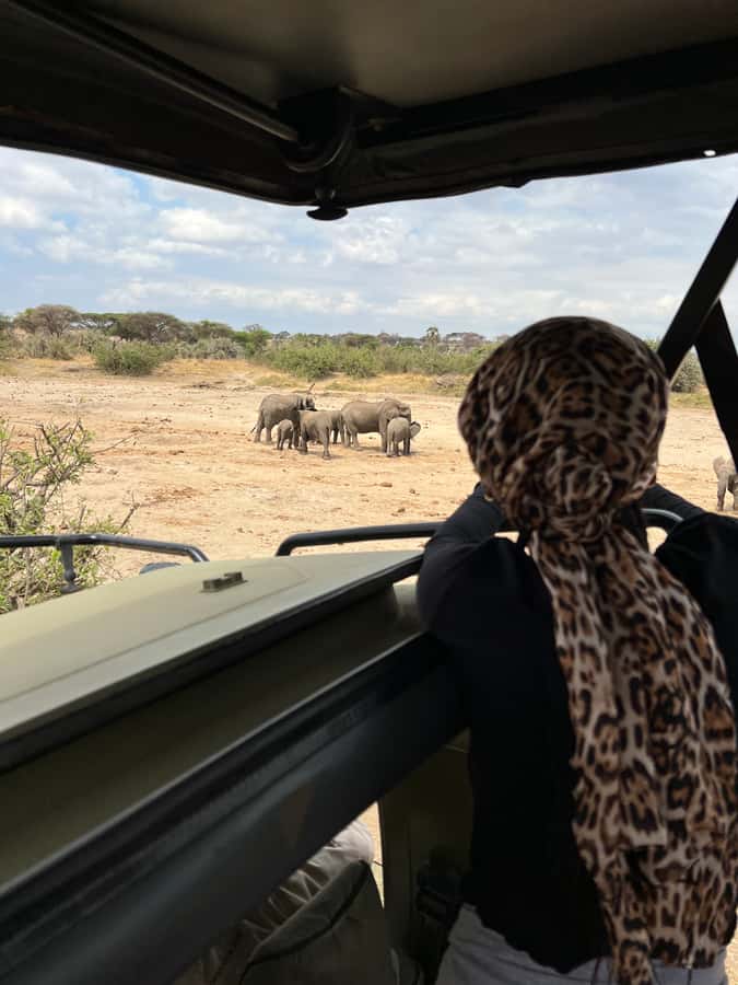 From Zanzibar: Nyerere National Park Game Drive with Lunch - Why the guide matters so much
