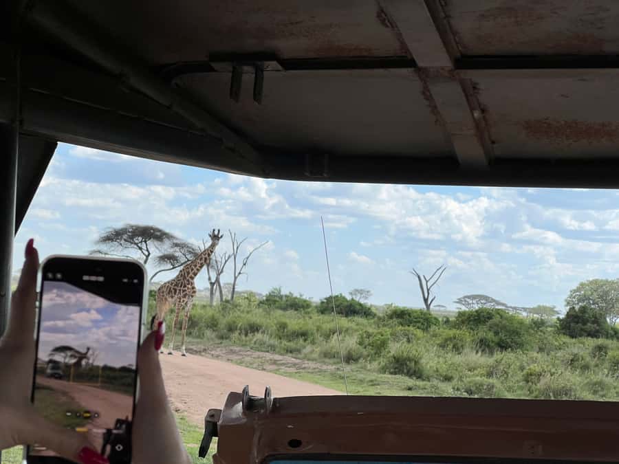 From Zanzibar: Nyerere National Park Game Drive with Lunch - Is $550 a fair price?