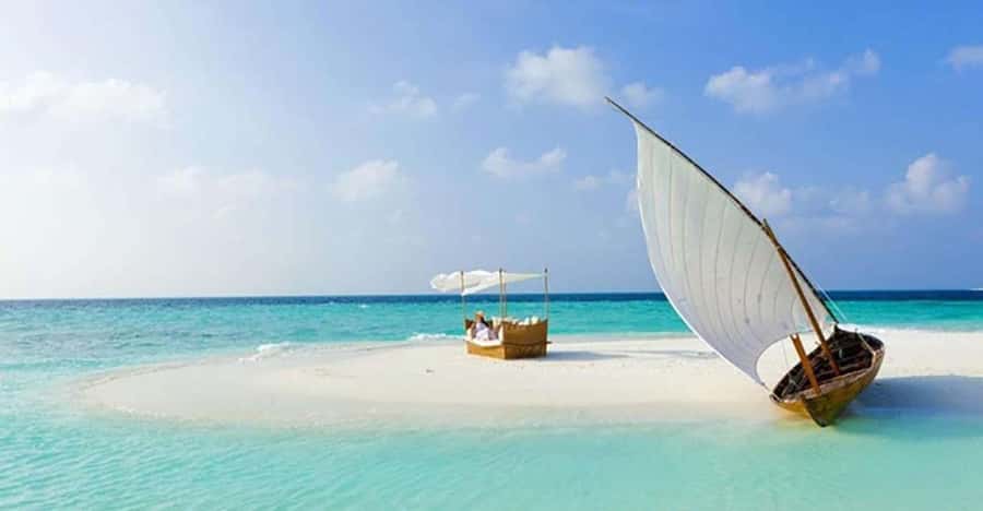 From Zanzibar: Safari Blue Snorkeling Trip with Lunch - Who will enjoy this Safari Blue day