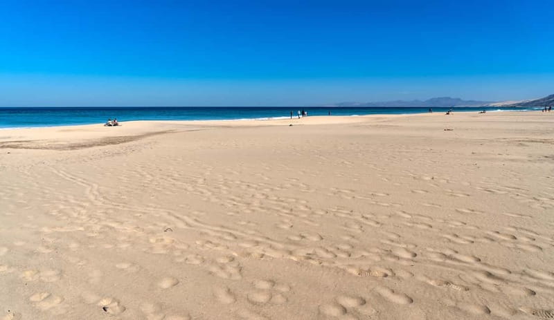 Fuerteventura: Cofete Beach Jeep Safari - Extra stops, local places, and small details