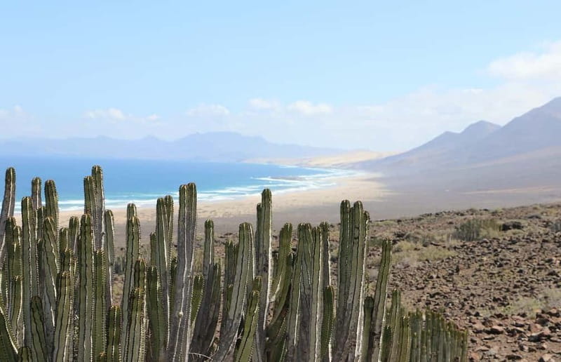Fuerteventura: Cofete Safari - Playa de Cofete, the emotional high point