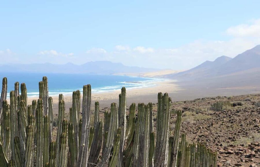 Fuerteventura: Jandía Natural Park & Cofete 4x4 Safari - Cofete viewpoint: the first big payoff