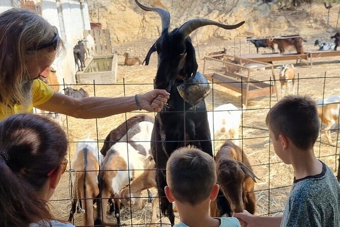 Full Day 4x4 Self-Drive Safari Tour in Crete with BBQ Lunch - Coffee and quiet lanes in Kastamonitsa