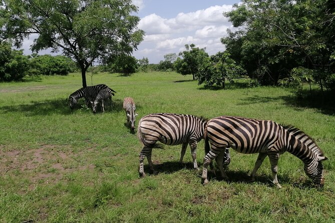 Full-Day Accra Safari and Boat Cruise Private Tour - Why this Accra day trip works so well