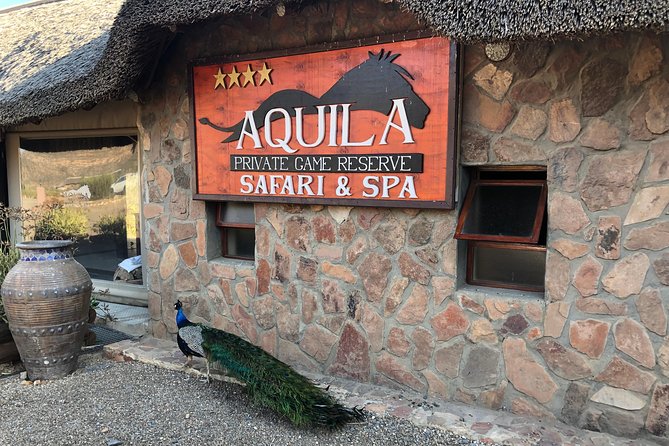 Full Day Big 5 Aquila Safari Private Transfers Including Park Fee From Cape Town - Is $345.08 per person fair value?