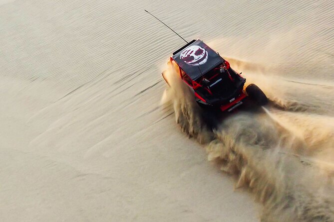 Full Day Desert Safari Doha/dinner included - From Doha to the sand at Sealine Beach
