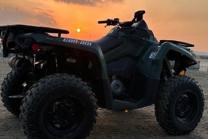 Full Day Desert Safari Doha/dinner included - Dune bashing with a confident driver