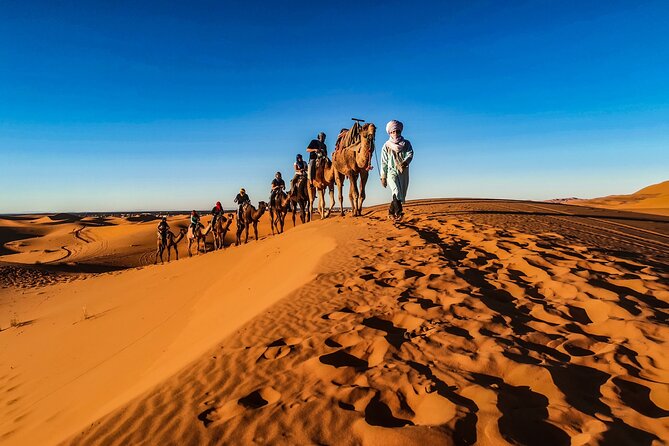 Full-Day Desert Safari with Buffet Dinner || Inland Sea Visit - Is $194 a Good Value?