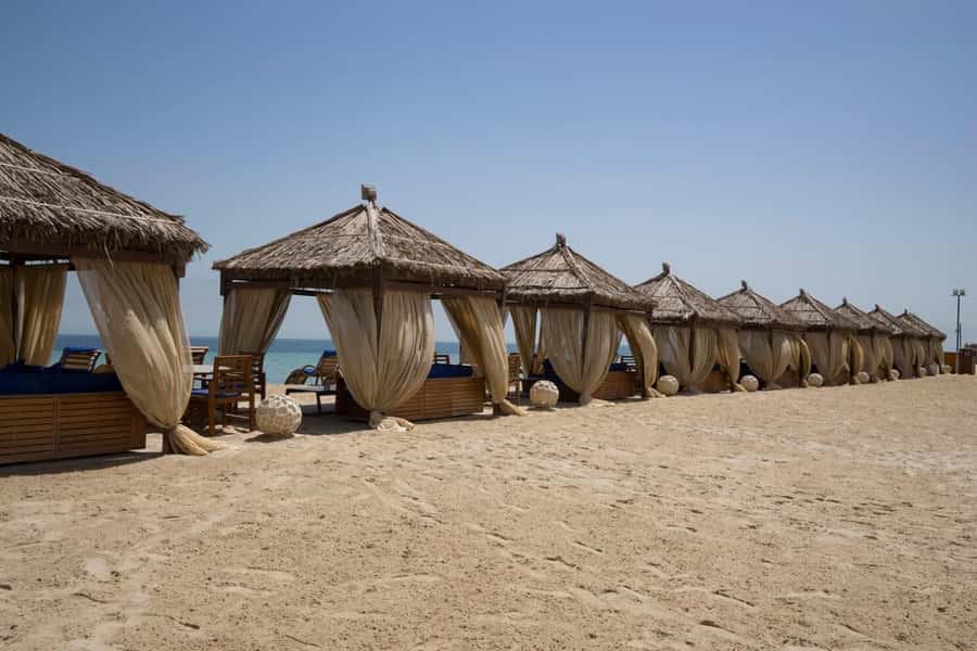 Full day desert safari with lunch or Dinner - Families, photographers, and adventure seekers
