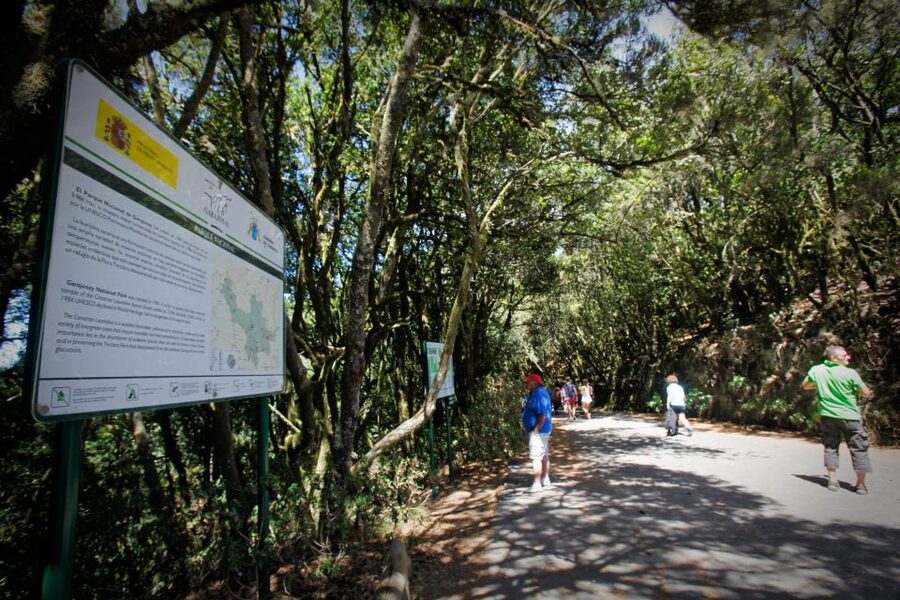 Full-Day Gomera Jeep Safari Excursion from Arona - Key points to know before booking