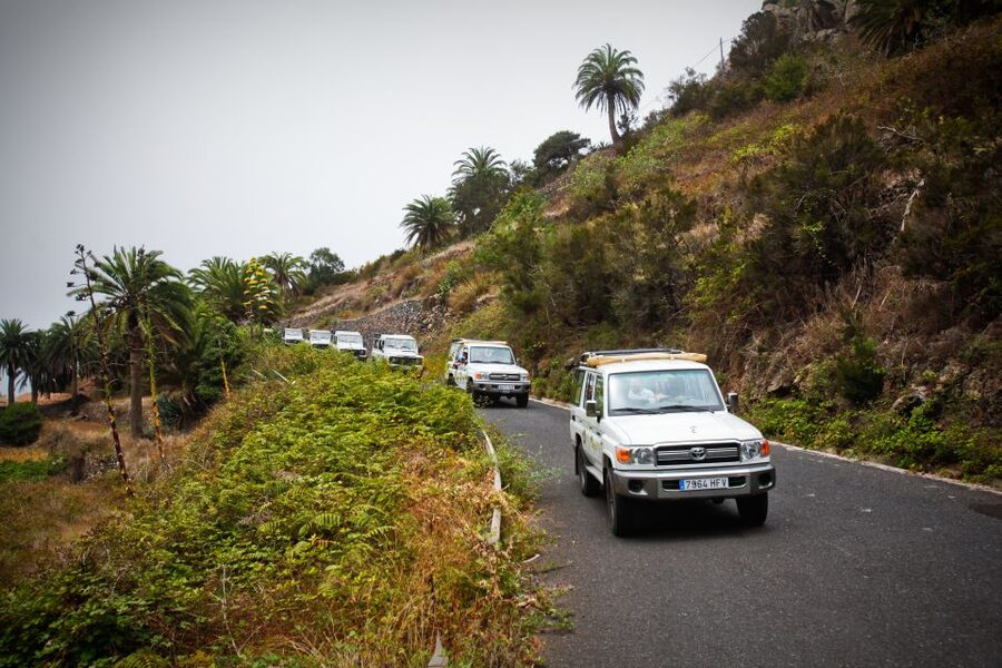Full-Day Gomera Jeep Safari Excursion from Arona - From Costa Adeje to San Sebastián by ferry