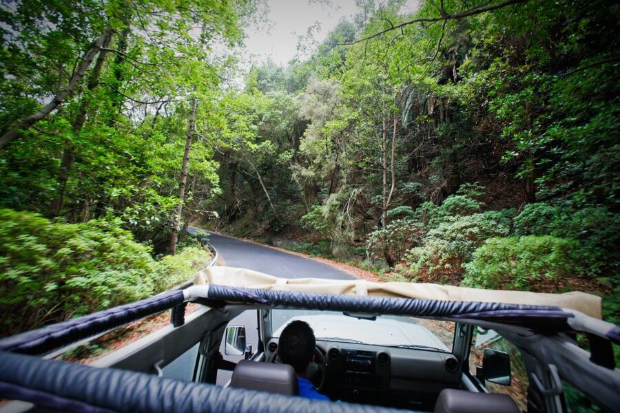Full-Day Gomera Jeep Safari Excursion from Arona - Garajonay National Park and the old laurel forest