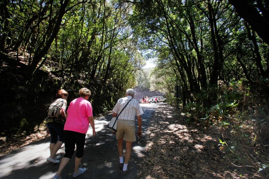 Full-Day Gomera Jeep Safari from Puerto de La Cruz - Garajonay National Park and the island’s high country
