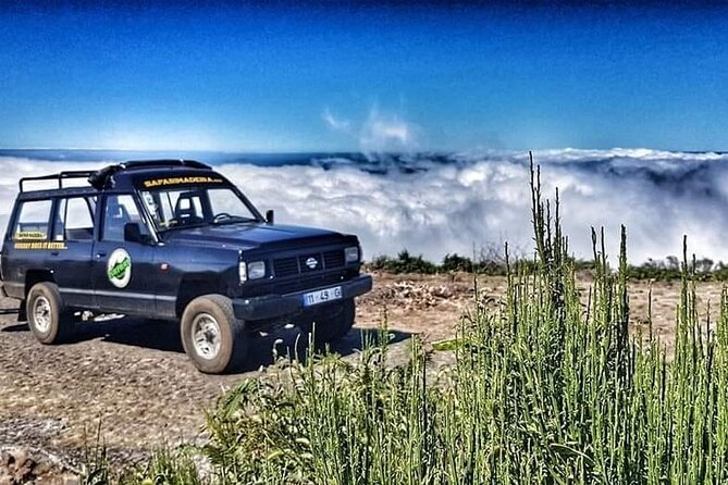 Full Day Jeep Safari East - Pico do Areeiro - Santana - Ponta de são Lourenço - What this east Madeira jeep tour is really like