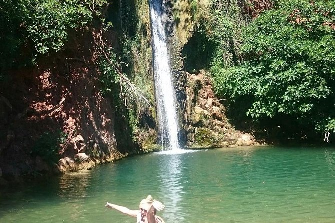 Full Day Jeep Safari in Algarve - Countryside, plants, and farm country around Tunes