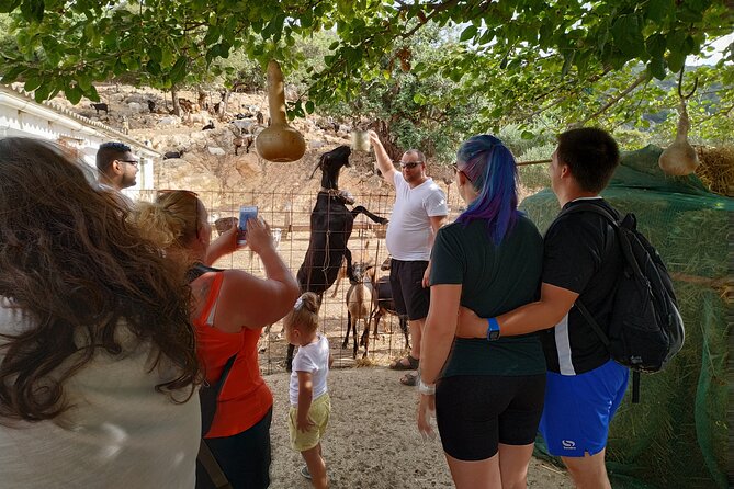 Full-Day Jeep Safari Tour with Cooking Lesson - Cooking in Pinakiano with local ingredients