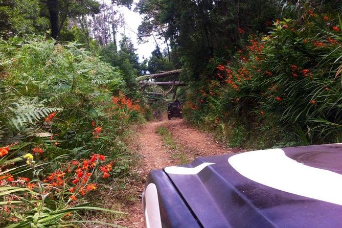 Full-Day Jeep Safari West: Fanal, Porto Moniz, Seixal, Cabo Girão - From Funchal to the fishing boats of Câmara de Lobos
