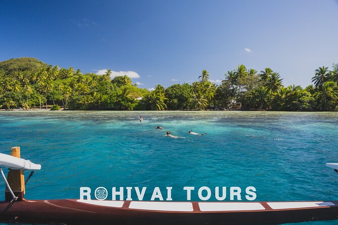 Full-day Lagoon Safari Tour with Lunch in Bora Bora - Shared tour - Stop two: blacktip sharks and stingrays