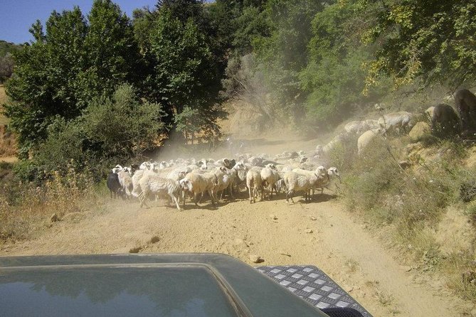 Full-Day Land Rover Safari from Heraklion with Lunch - The Lassithi Plateau from above