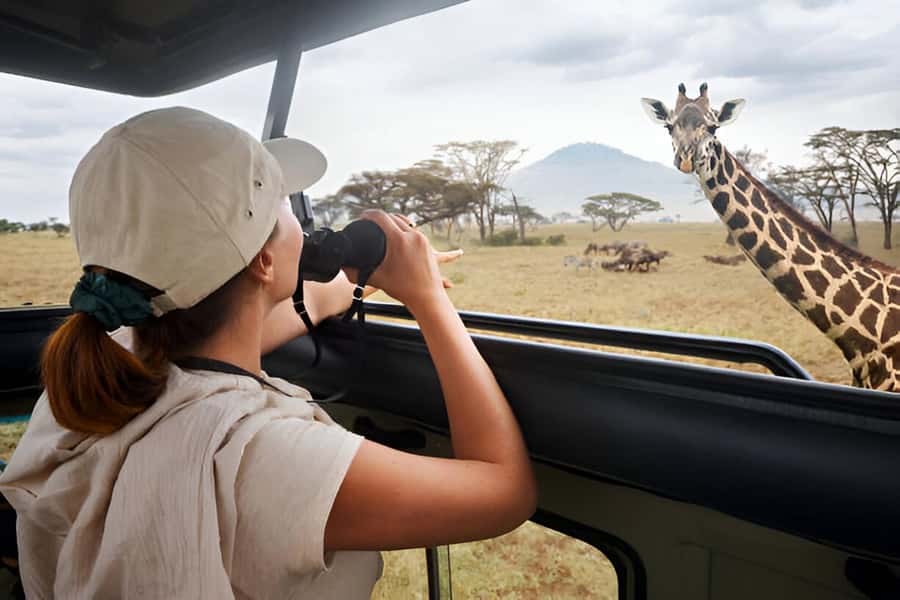 Full-Day Pilanesberg Safari from Sun City - The morning drive from about 9:15 AM to 12:15 PM