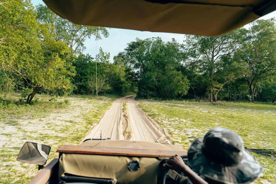 Full-Day Pilanesberg Safari from Sun City - The 8:30 AM pickup and the first park transfer