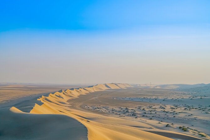 Full-day Qatar desert safari: dune bashing, sandboarding, camels - The Singing Sand Dunes near Doha
