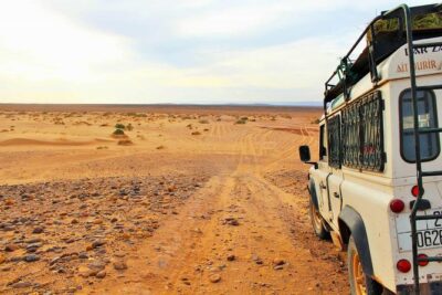 Full-Day Safari Small Desert With Lunch