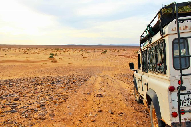 Full-Day Safari Small Desert With Lunch - What the Mini Sahara really feels like