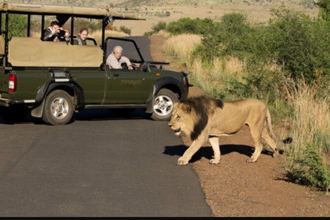 Full Day Safari Tour of Pilanesberg National Park, Open Jeep experience - Who should book this safari