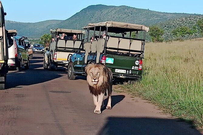 Full-Day Shared Kruger National Park Safari from Hoedspruit - Entering Kruger early and using the full day