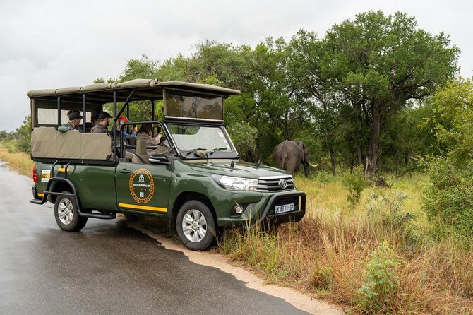Full-Day Shared Kruger National Park Safari from Hoedspruit - The guide can shape the whole experience
